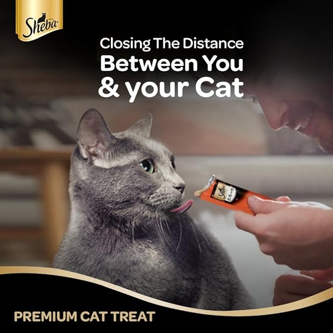 Sheba Melty Premium Lickable Creamy Cat Treats, 48g (1 pcs)